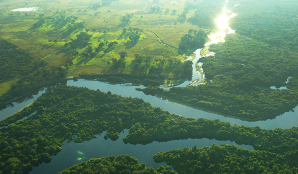 自然のイメージ